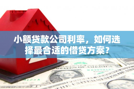 郧西小额贷款公司利率，如何选择最合适的借贷方案？