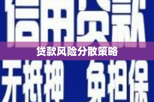 郧西贷款风险分散策略
