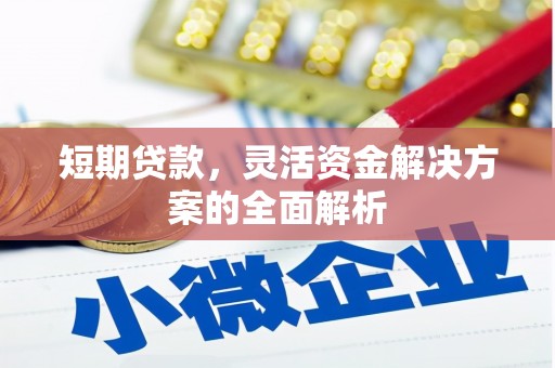 郧西短期贷款，灵活资金解决方案的全面解析