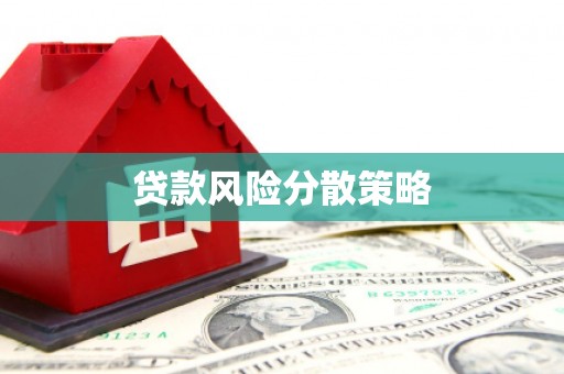 郧西贷款风险分散策略