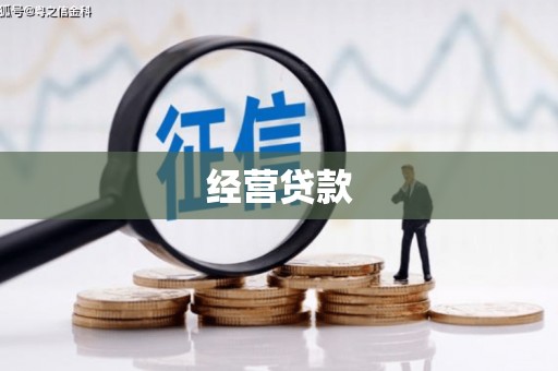 郧西经营贷款