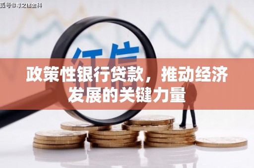 郧西政策性银行贷款，推动经济发展的关键力量