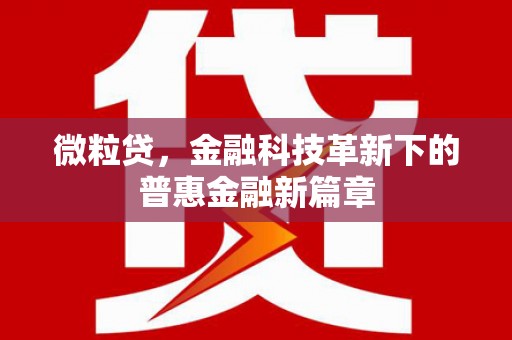 郧西微粒贷，金融科技革新下的普惠金融新篇章