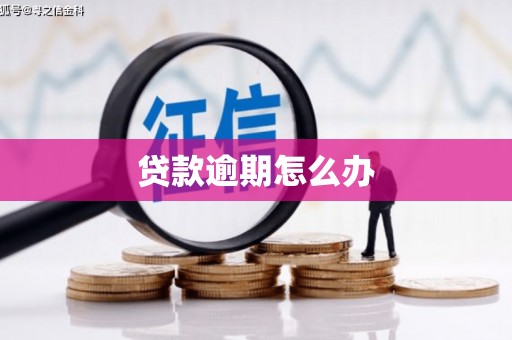 郧西贷款逾期怎么办