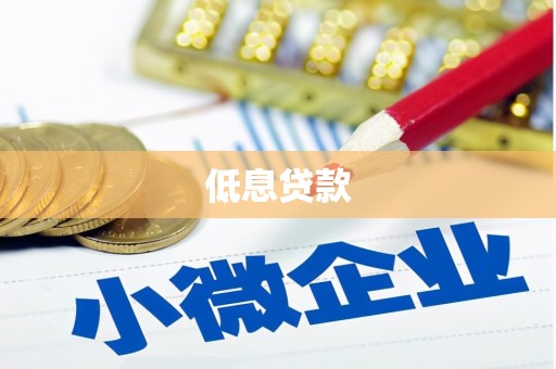 郧西低息贷款