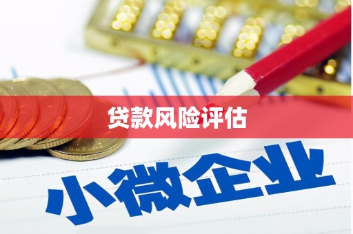 郧西贷款风险评估