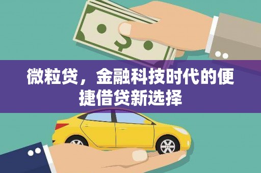 郧西微粒贷，金融科技时代的便捷借贷新选择
