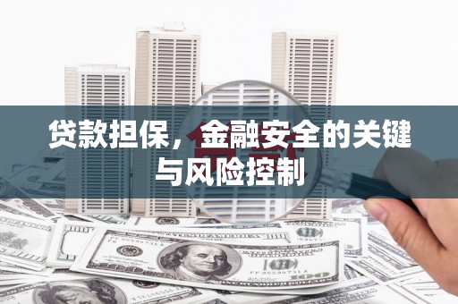 郧西贷款担保，金融安全的关键与风险控制