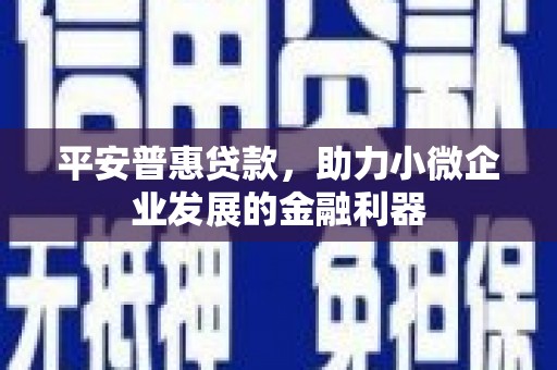 郧西平安普惠贷款，助力小微企业发展的金融利器