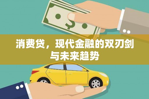 郧西消费贷，现代金融的双刃剑与未来趋势