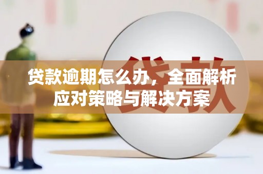 郧西贷款逾期怎么办，全面解析应对策略与解决方案