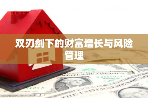 郧西双刃剑下的财富增长与风险管理