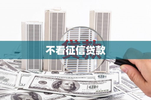 郧西不看征信贷款