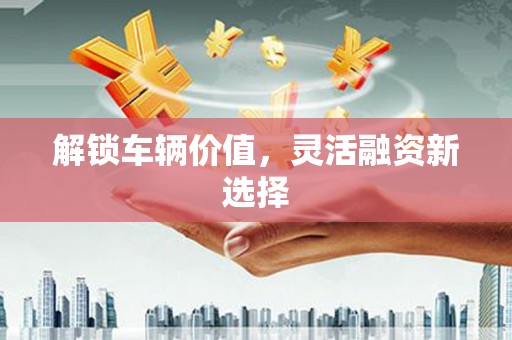 郧西解锁车辆价值，灵活融资新选择