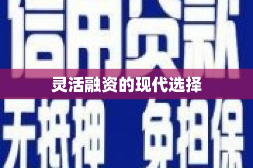 郧西灵活融资的现代选择