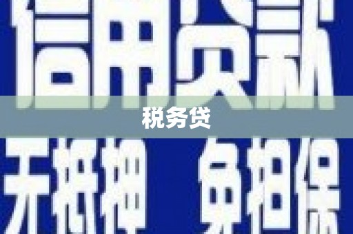 郧西税务贷
