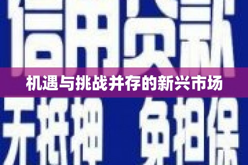 郧西机遇与挑战并存的新兴市场
