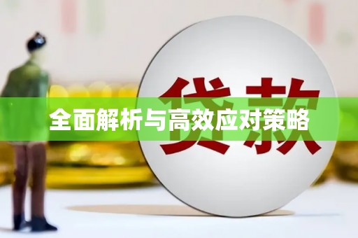 郧西全面解析与高效应对策略