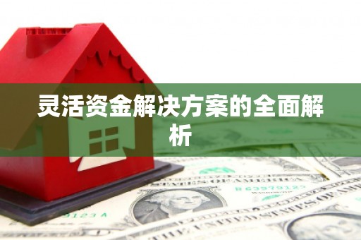 郧西灵活资金解决方案的全面解析